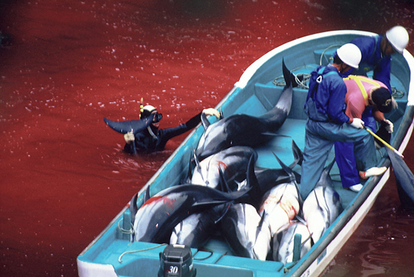 taiji1.jpg